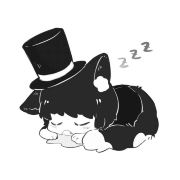 没有喵的完蛋君