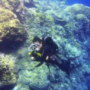 朋来聚(魏各鲜)