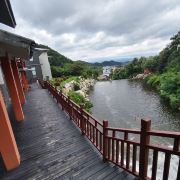 唯爱玫瑰的糖宝