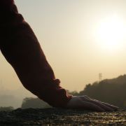 带上猪皮去旅行