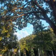星河梦境旅行记