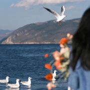 爱旅游的小何何