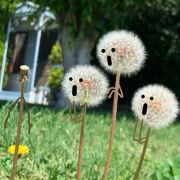 歲〆月茹哥欠0709