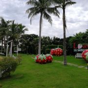 小小小小的石头