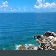 深情不及久伴111