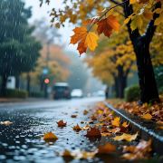 平安喜乐😄万事胜意