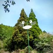 远方的远去远方