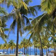 树下西岛壹号民宿丹姐