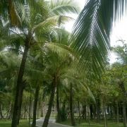 知识是无形资产