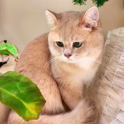 小旅带你逛南京