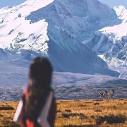 野玫瑰的种草日记