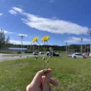 桃然然的旅行日记