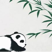 安娜爱威 hair design 一欢