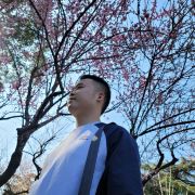 海风掠过北极光#