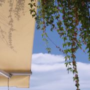 小童的旅行日记