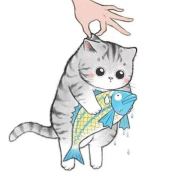 屋檐下的猫吖🐟