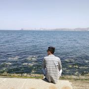 同程-刘国峻「住哲金天鹅云掌柜」