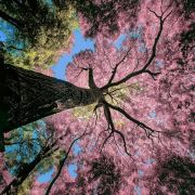 那就像风一样自由