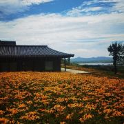 不爱吃鱼的喵爱