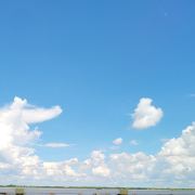 微微0909