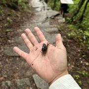 🐳一鲸落、万物生🎏