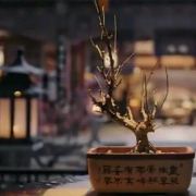 @鄭