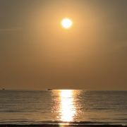 旅行世界的大林子