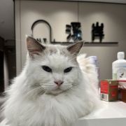 🍍菠萝爱吃土豆🥔