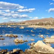 萨拉他蒙蒂鲁陈棱