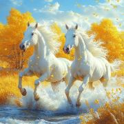 自强不息(913105)