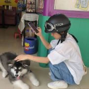 照烧动感汉堡🍔