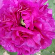 湖北省孝感市安陆市南城仰棚社区