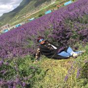 盛祥、铂檍林家私小陈