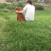 小可耐又灿烈的好美男友啊