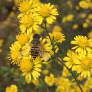 加油站的(油民)