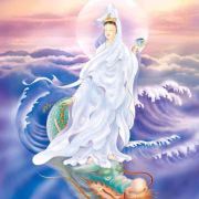 翱翔九霄