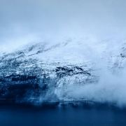 桃李不言/下自成蹊