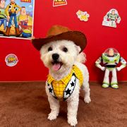 罗非鱼也是鱼🐟