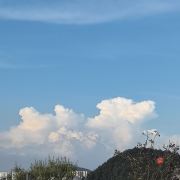 ☁等风来不如追风去🪽