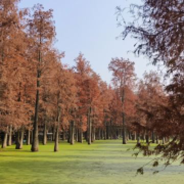 辣妈甜椒在路上