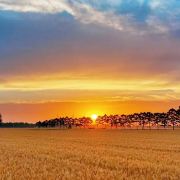 满悦穷游不花冤枉钱