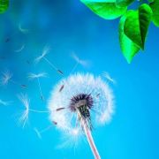 🌹时间💐以北🌺慕城南🌼