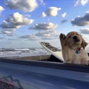 阿凡达体验酒店