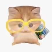 爱吃烧饼的小鱼