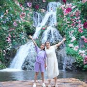 牛牛的向日葵🌻