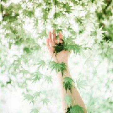 云中漫步与海纳百川