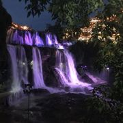 小仙女们的小姐姐