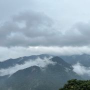 爱探险的小小黑