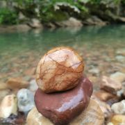 我想去看看 你同意吗