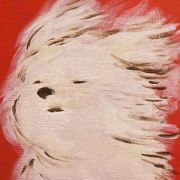 自由的梧桐在云端喝下午茶